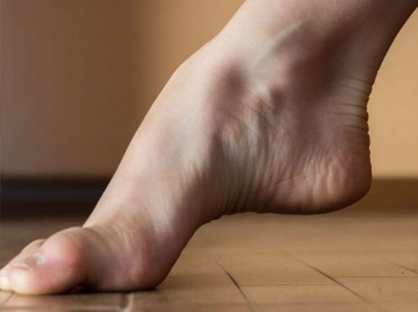 ligamento plantar curto